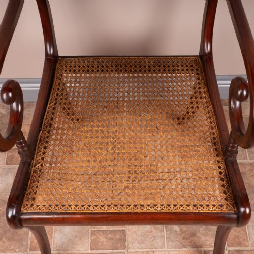 REGENCY STYLE CARVER CHAIR - ADDITIONAL PHOTO 12