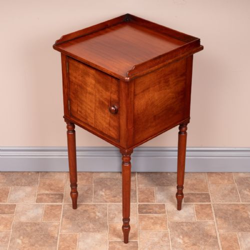 19THC MAHOGANY POT CUPBOARD - ADDITIONAL PHOTO 7