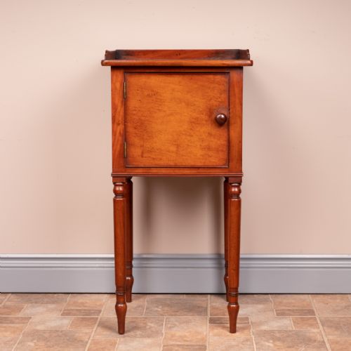 19THC MAHOGANY POT CUPBOARD - ADDITIONAL PHOTO 11