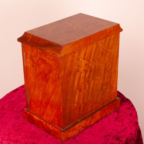 GOOD QUALITY WALNUT TABLE TOP COLLECTOR'S CABINET - ADDITIONAL PHOTO 3