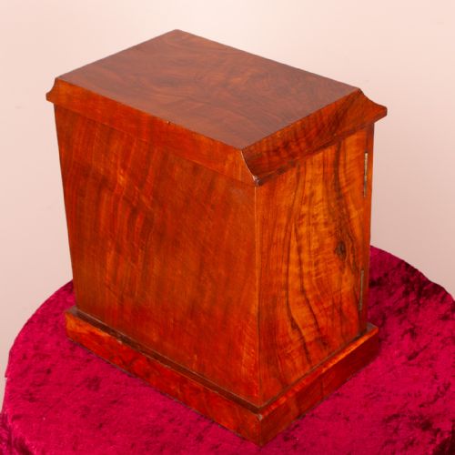 GOOD QUALITY WALNUT TABLE TOP COLLECTOR'S CABINET - ADDITIONAL PHOTO 5