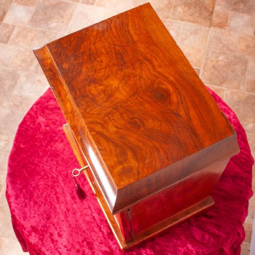 GOOD QUALITY WALNUT TABLE TOP COLLECTOR'S CABINET - ADDITIONAL PHOTO 6