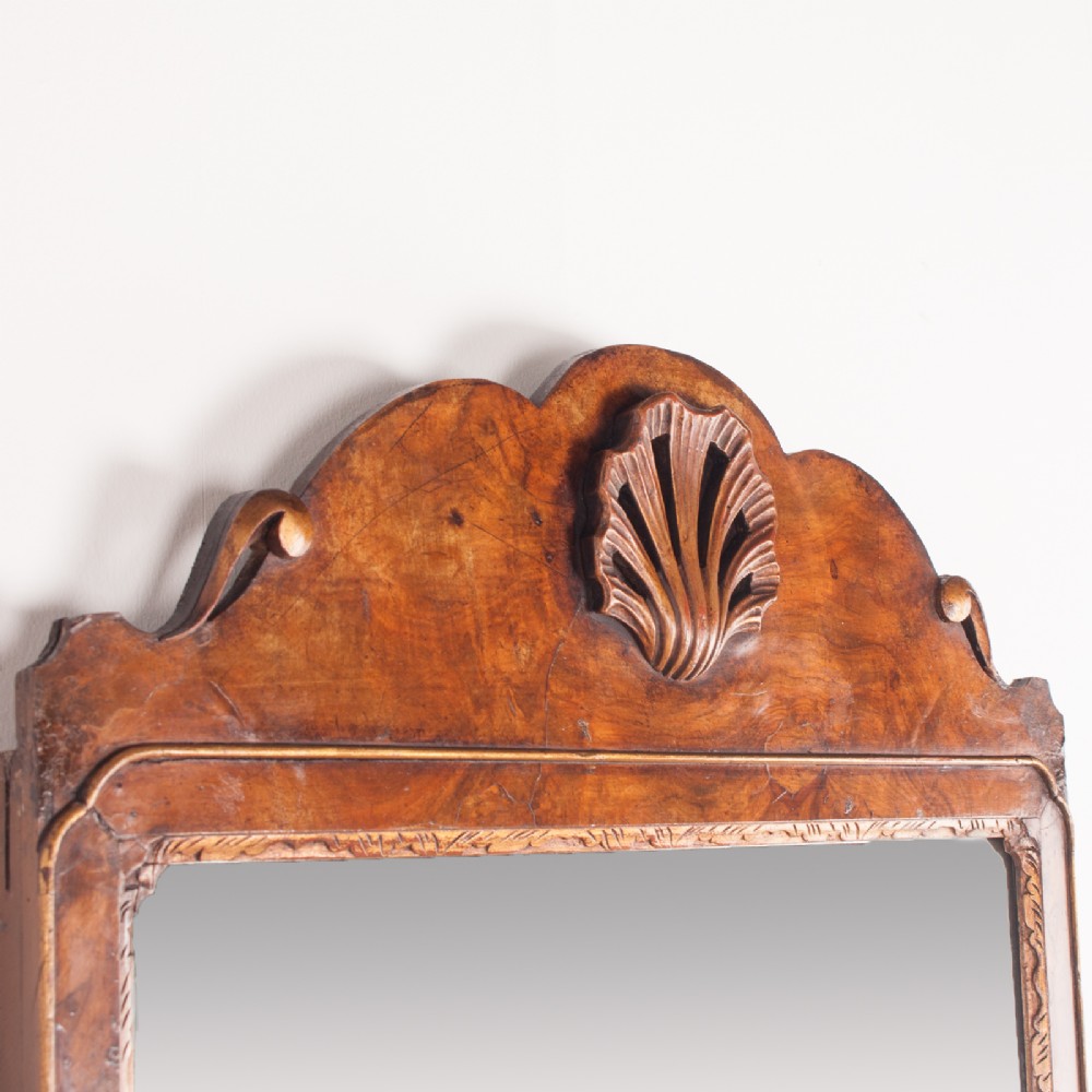 Alternate View