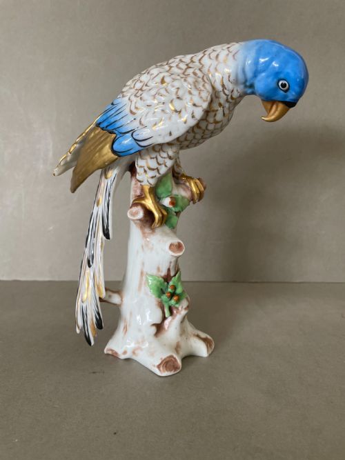 a19thc continental porcelain parrot - CATEGORY: ANTIQUE CERAMICS - DATED 19TH CENTURY