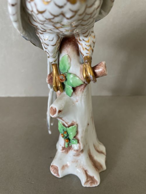 A19THC CONTINENTAL PORCELAIN PARROT - ADDITIONAL PHOTO 5