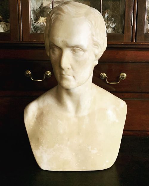 antique bust of a gentleman - CATEGORY: ANTIQUE SCULPTURES - DATED 19TH CENTURY