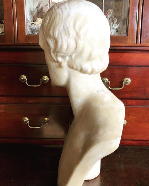 ANTIQUE BUST OF A GENTLEMAN - ADDITIONAL PHOTO 1