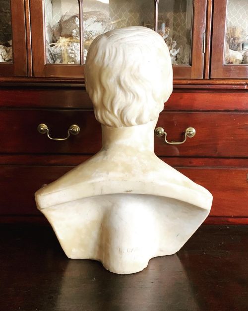 ANTIQUE BUST OF A GENTLEMAN - ADDITIONAL PHOTO 3