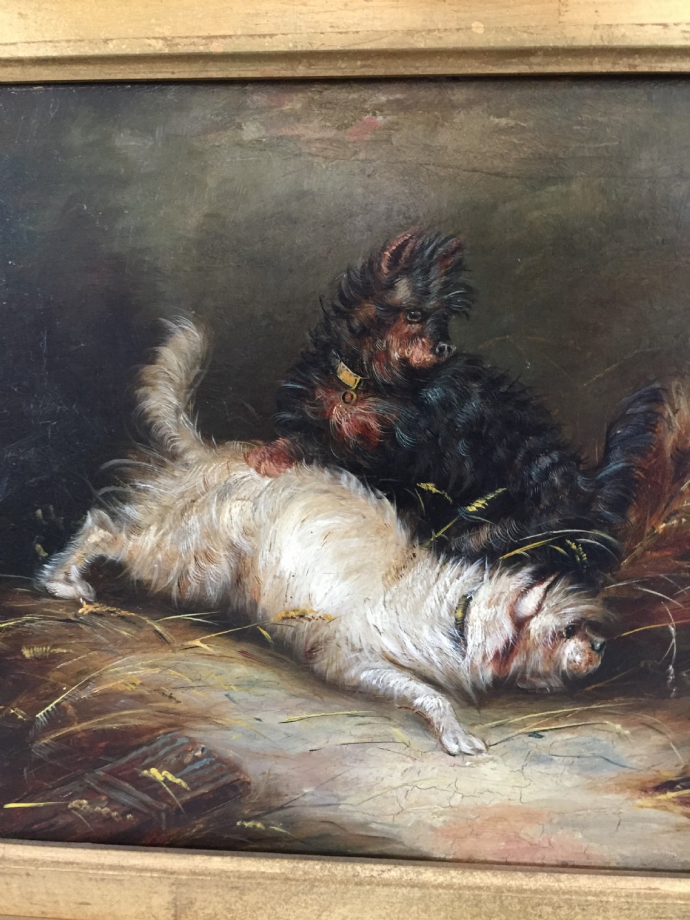 A charming 19thC painting, depicting two terriers at play, possibly ratting, View II