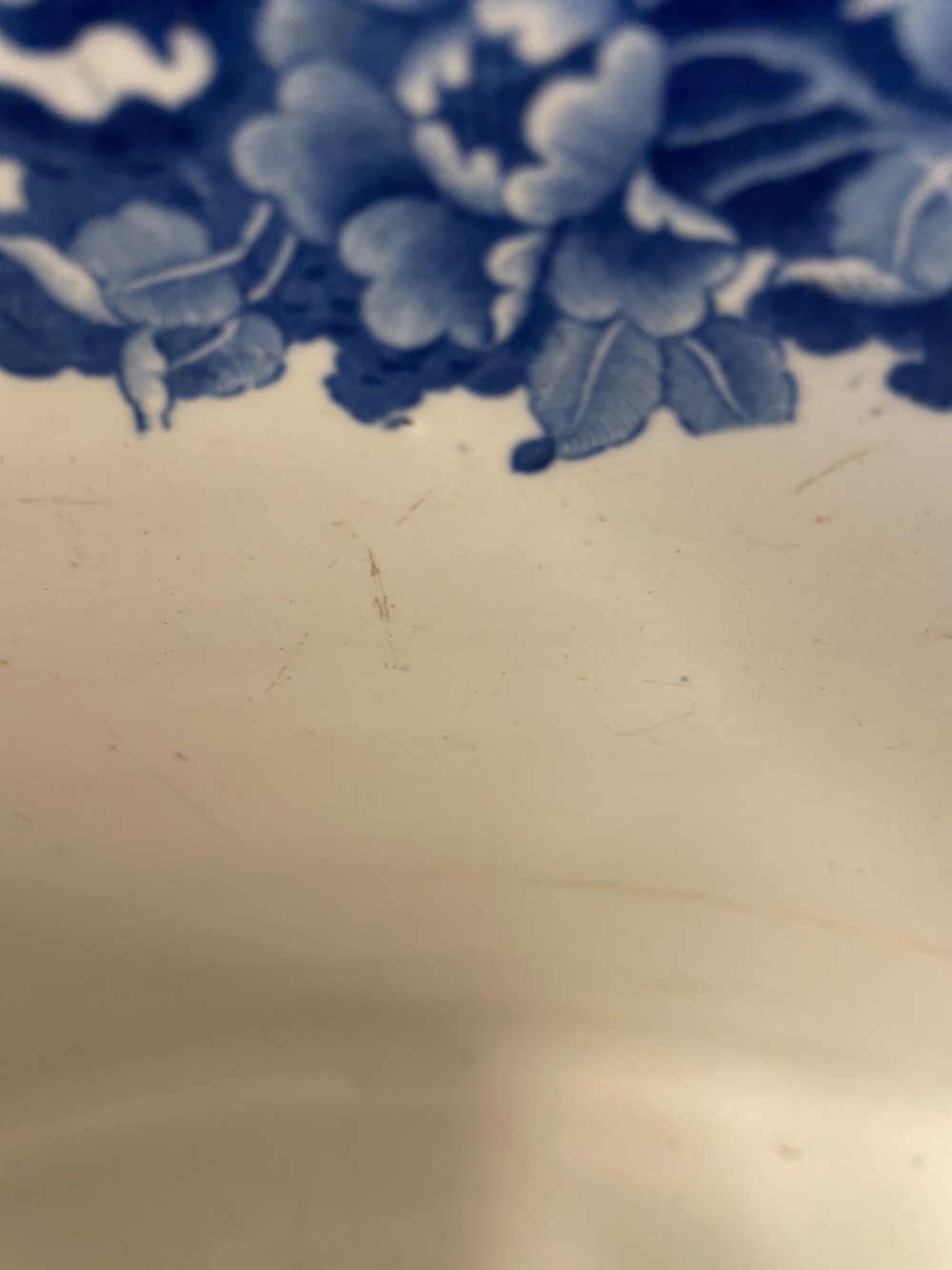 An antique spode footbath View V