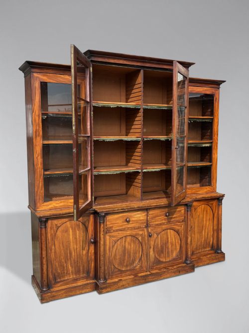 19TH CENTURY WILLIAM IV MAHOGANY LIBRARY BOOKCASE C1840 - ADDITIONAL PHOTO 2