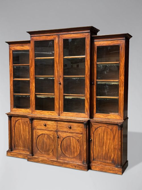 19TH CENTURY WILLIAM IV MAHOGANY LIBRARY BOOKCASE C1840 - ADDITIONAL PHOTO 4