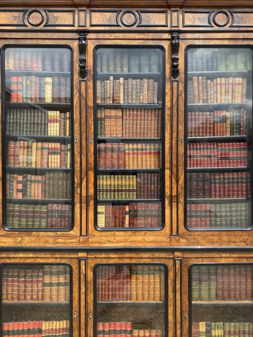 19TH CENTURY FRENCH WALNUT EBONY LIBRARY BOOKCASE C1860 - ADDITIONAL PHOTO 7