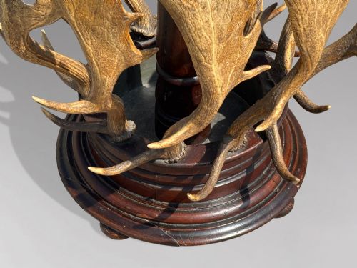 19TH CENTURY ANTLER COAT STAND BY J PARKER OF WOODSTOCK C1850 - ADDITIONAL PHOTO 7