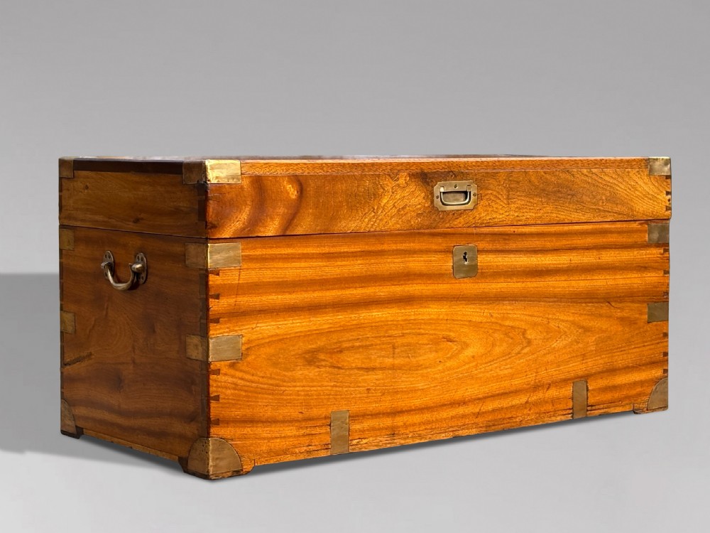 A rectangular 19th-century camphor wood campaign trunk featuring flush brass corner brackets, recessed side handles, and a central brass lock plate. View VII