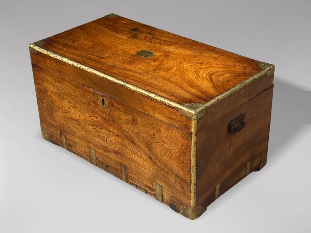 A rectangular 19th-century camphor wood campaign trunk with brass corner strapping, edge binding, a central flush plaque, and iron side handles.