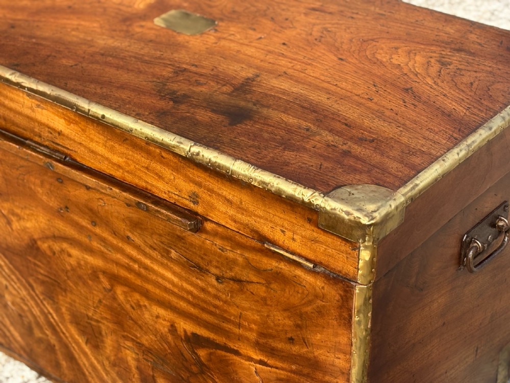 A rectangular 19th-century camphor wood campaign trunk with brass corner strapping, edge binding, a central flush plaque, and iron side handles. View XI