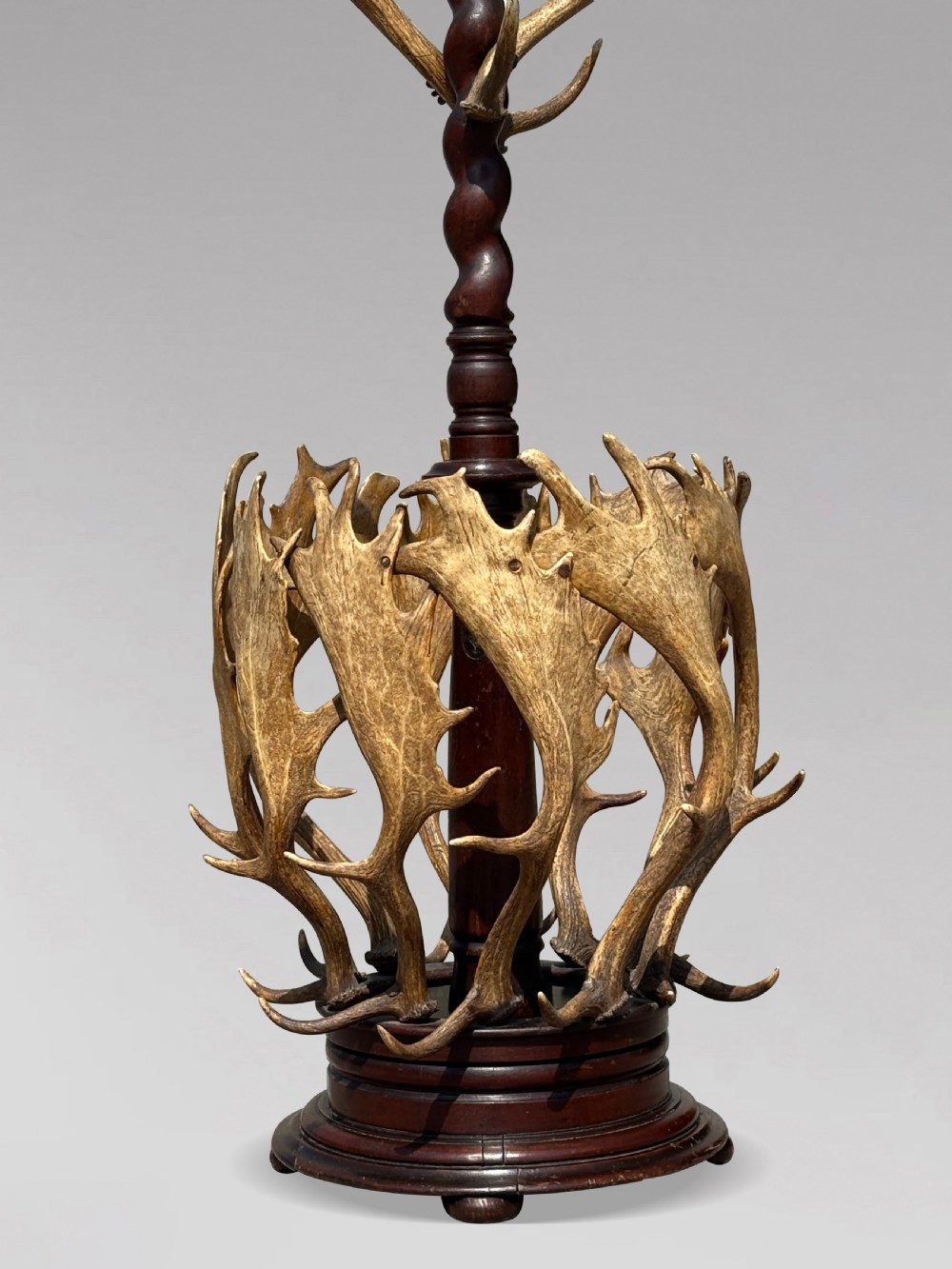 A Victorian freestanding coat stand crafted with a central barley-twist dark wood shaft surrounded by shed fallow deer antlers on a turned circular base. View II