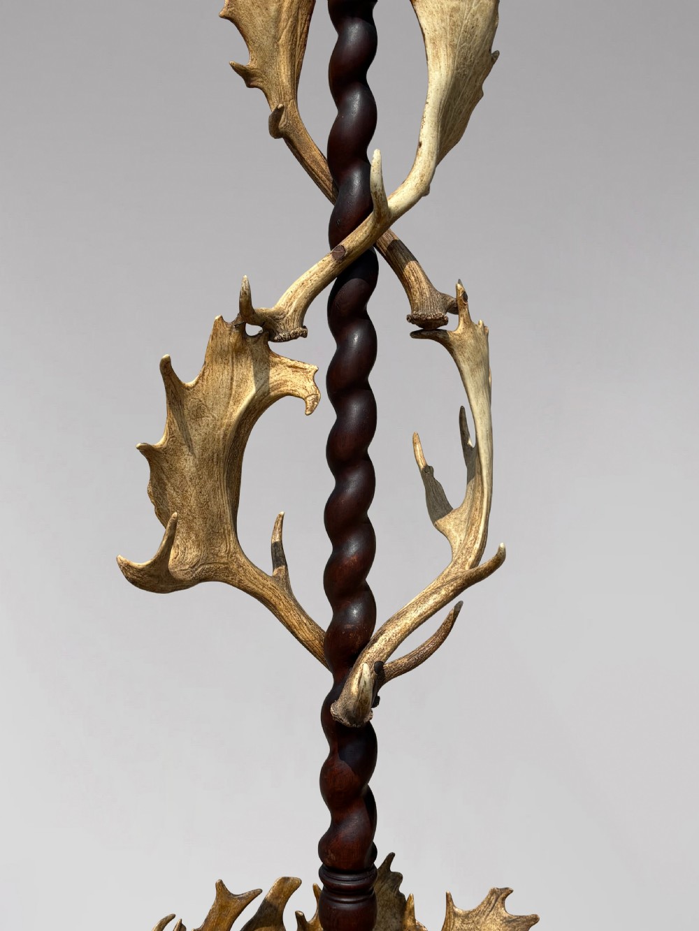 A Victorian freestanding coat stand crafted with a central barley-twist dark wood shaft surrounded by shed fallow deer antlers on a turned circular base. View III