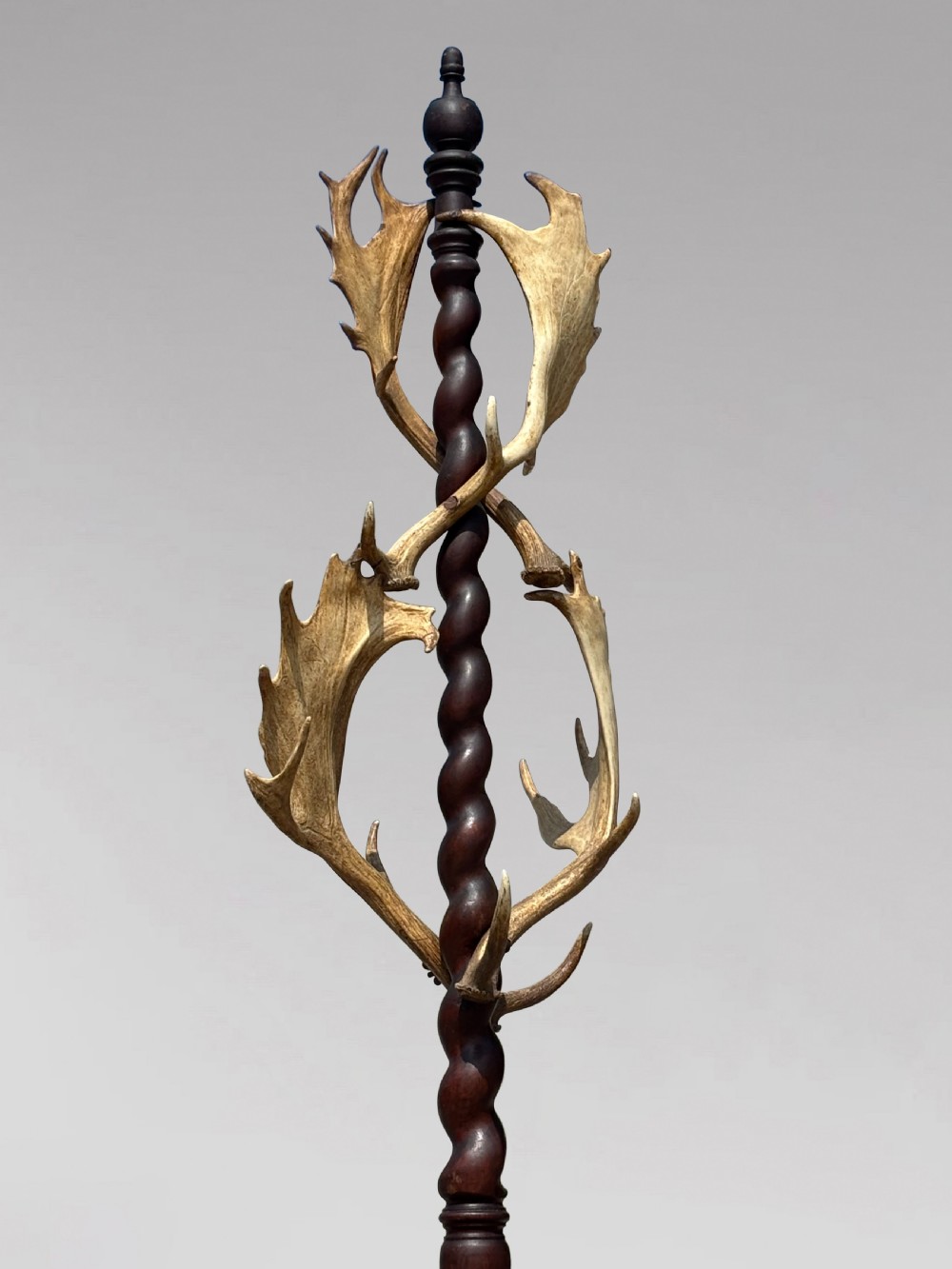 A Victorian freestanding coat stand crafted with a central barley-twist dark wood shaft surrounded by shed fallow deer antlers on a turned circular base. View IV