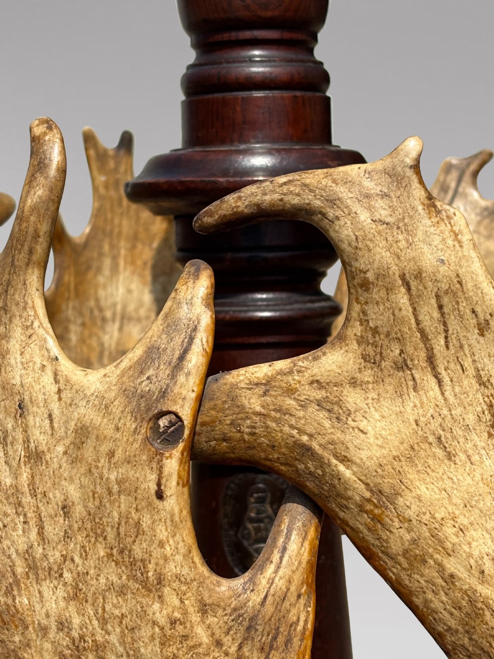 A Victorian freestanding coat stand crafted with a central barley-twist dark wood shaft surrounded by shed fallow deer antlers on a turned circular base. View VI