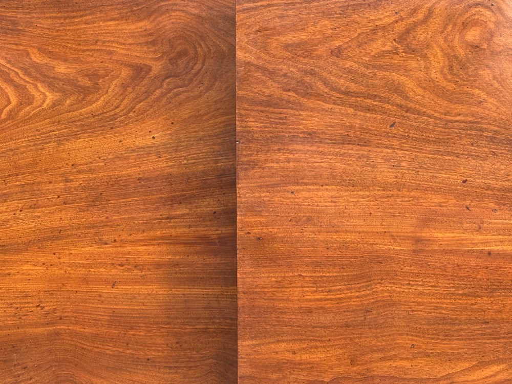 An early 19th-century Georgian mahogany twin pedestal dining table with a removable extension leaf, turned support pillars, and splayed legs ending in brass toe castors. View XI