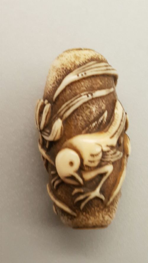 unusual japanese edo ivory ojime depicting a bird amid foliage - CATEGORY: ANTIQUE MISCELLANEOUS - DATED 19TH CENTURY