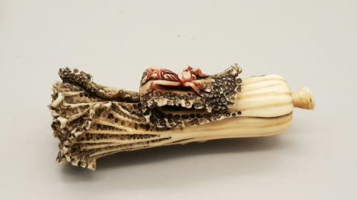 superb japanese ivory meijishowa netsuke of bok choi - CATEGORY: ANTIQUE MISCELLANEOUS - DATED 19TH CENTURY