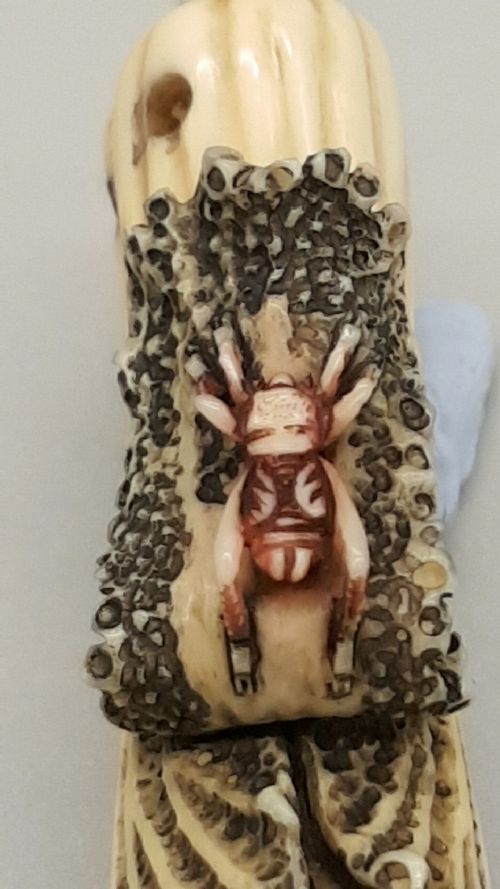 SUPERB JAPANESE IVORY MEIJISHOWA NETSUKE OF BOK CHOI - ADDITIONAL PHOTO 4