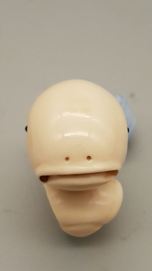 NICE JAPANESE MEIJI IVORY NETSUKE OF A PUFFER FISH WITH INLAID EYES - ADDITIONAL PHOTO 3
