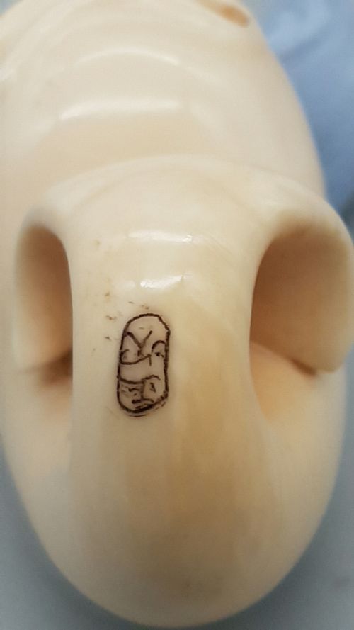 NICE JAPANESE MEIJI IVORY NETSUKE OF A PUFFER FISH WITH INLAID EYES - ADDITIONAL PHOTO 5