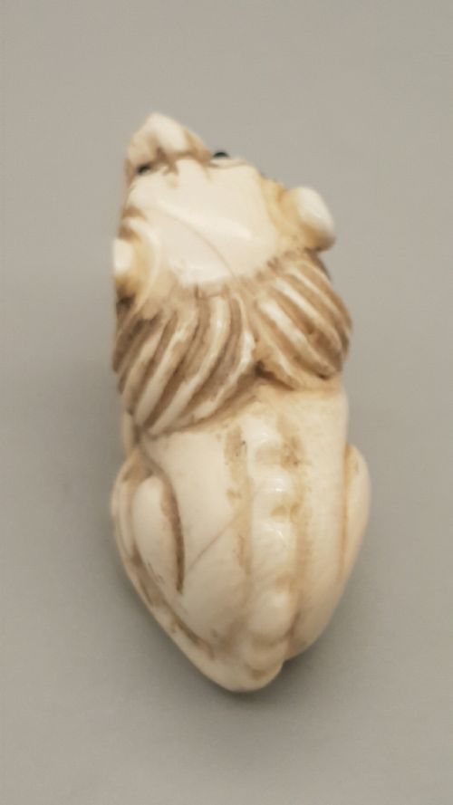 JAPANESE MEIJI IVORY NETSUKE OF A SEATED LION - ADDITIONAL PHOTO 2