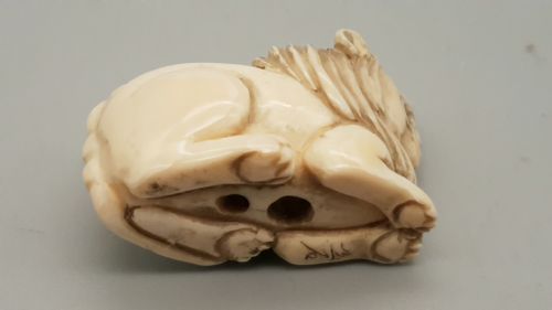 JAPANESE MEIJI IVORY NETSUKE OF A SEATED LION - ADDITIONAL PHOTO 4