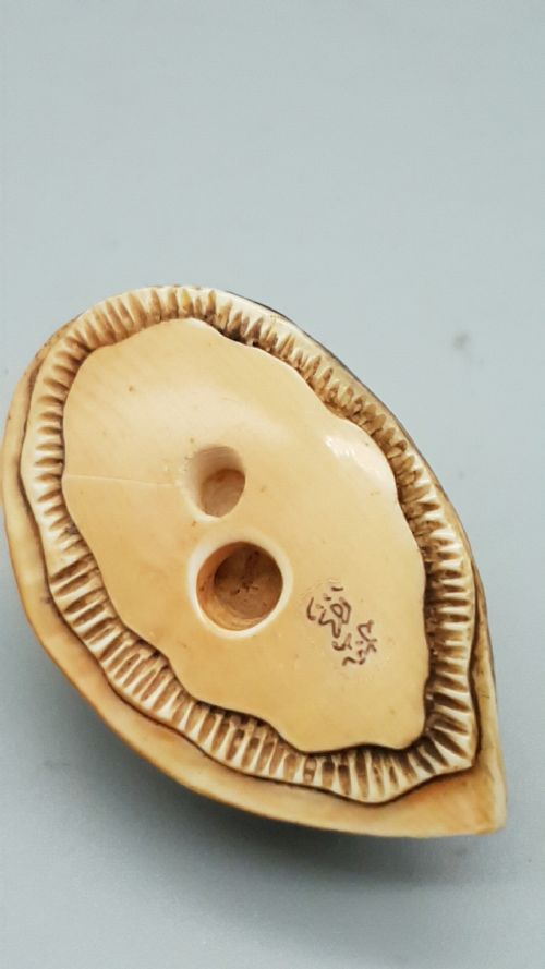 JAPANESE MEIJI IVORY NETSUKE OF A TOAD ON AN AWABI SHELL - ADDITIONAL PHOTO 4