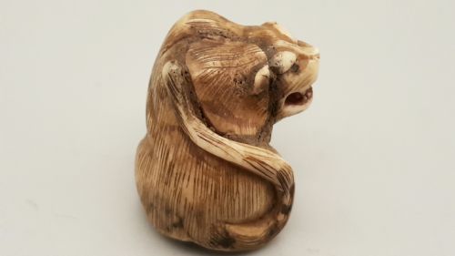 JAPANESE EDO IVORY TIGER NETSUKE - ADDITIONAL PHOTO 1