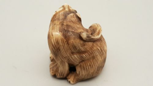 JAPANESE EDO IVORY TIGER NETSUKE - ADDITIONAL PHOTO 2