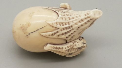 JAPANESE MEIJI IVORY NETSUKE OF GOURDS - ADDITIONAL PHOTO 1