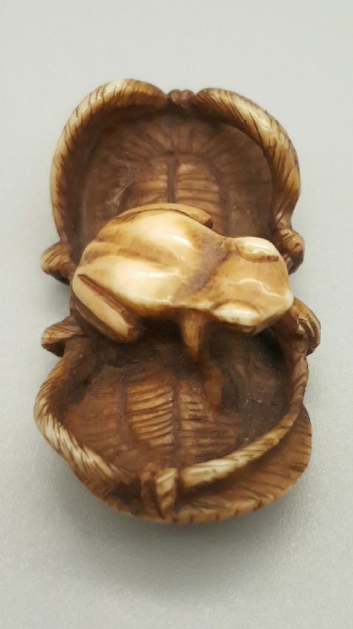 EXQUISITE JAPANESE IVORY NETSUKE OF A TOADFROG ON A SANDAL - ADDITIONAL PHOTO 3