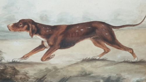 NICE FRAMED VINTAGE PAINTING OF A WORKING POINTER DOG IN THE FIELD - ADDITIONAL PHOTO 3