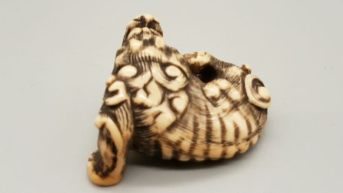 SUPERB JAPANESE EDO IVORY NETSUKE OF A KARASHISHI WITH A BALL IN HIS MOUTH - ADDITIONAL PHOTO 2