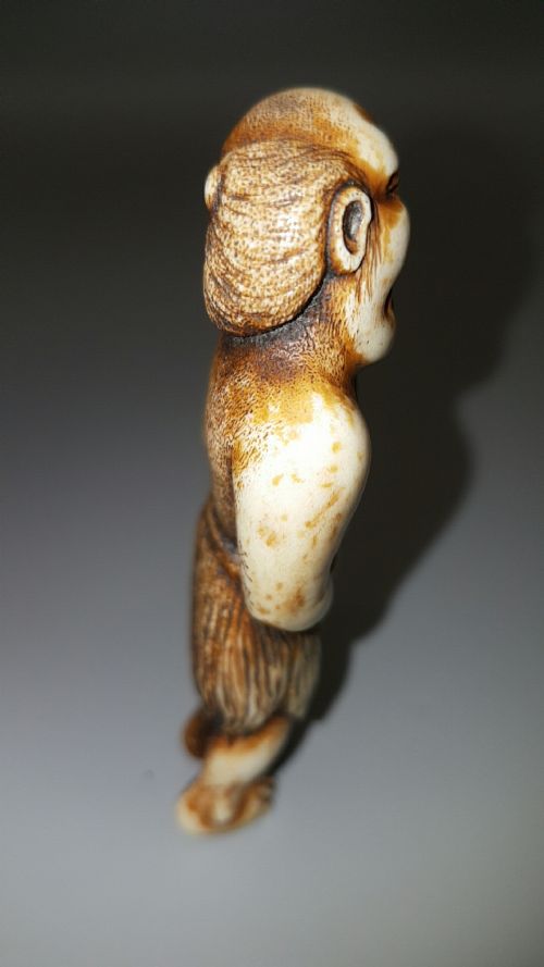 JAPANESE EDOMEIJI STAG ANTLER NETSUKE OF AN ISLANDER - ADDITIONAL PHOTO 2