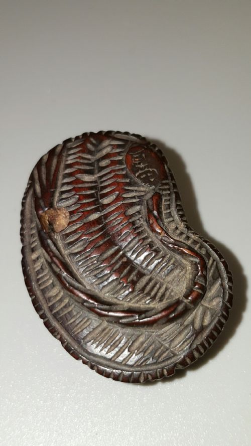 JAPANESE MEIJI BOXWOOD NETSUKE OF A TOAD ON A SANDAL - ADDITIONAL PHOTO 5