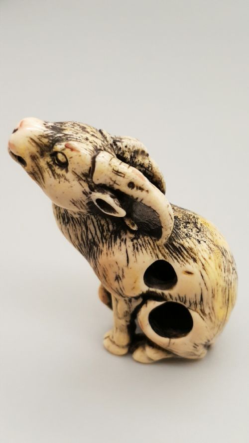 RARE JAPANESE EDOMEIJI 19THC STAG ANTLER NETSUKE OF A SEATED GOAT - ADDITIONAL PHOTO 1