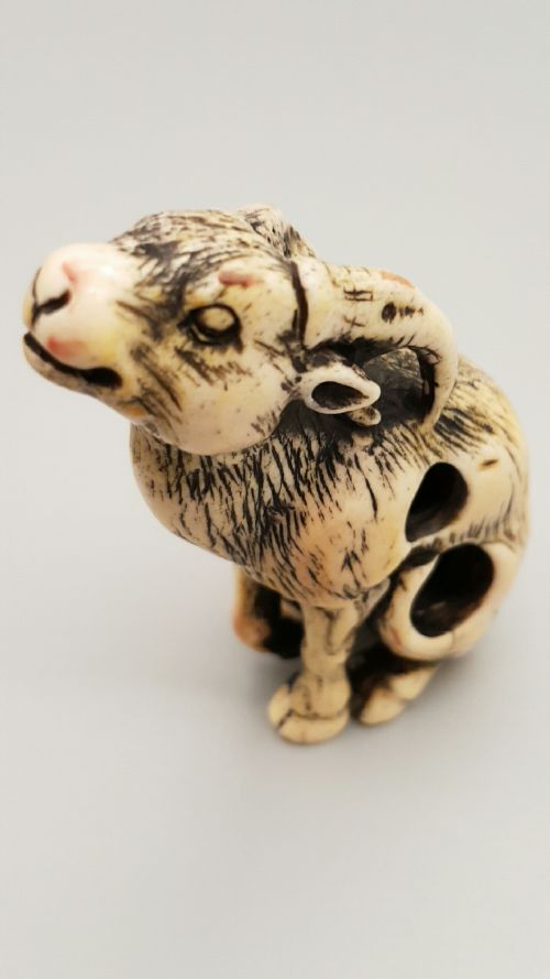 RARE JAPANESE EDOMEIJI 19THC STAG ANTLER NETSUKE OF A SEATED GOAT - ADDITIONAL PHOTO 2