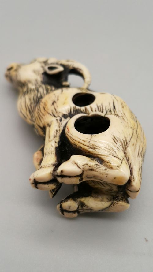 RARE JAPANESE EDOMEIJI 19THC STAG ANTLER NETSUKE OF A SEATED GOAT - ADDITIONAL PHOTO 4