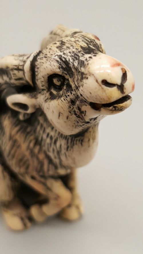 RARE JAPANESE EDOMEIJI 19THC STAG ANTLER NETSUKE OF A SEATED GOAT - ADDITIONAL PHOTO 5