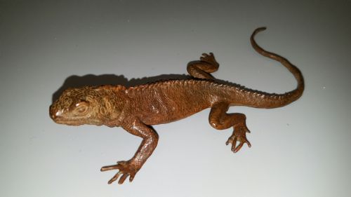 superb japanese meiji bronze lizard - CATEGORY: ANTIQUE SCULPTURES - DATED 19TH CENTURY