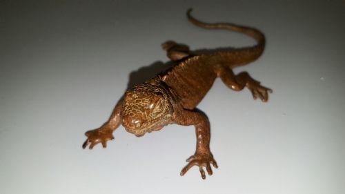 SUPERB JAPANESE MEIJI BRONZE LIZARD - ADDITIONAL PHOTO 2