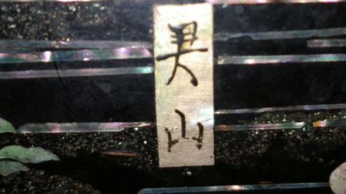 BEAUTIFUL JAPANESE MEIJI 19THC RADEN MOTHEROFPEARL BLACK LACQUER STORAGE BOX - ADDITIONAL PHOTO 9