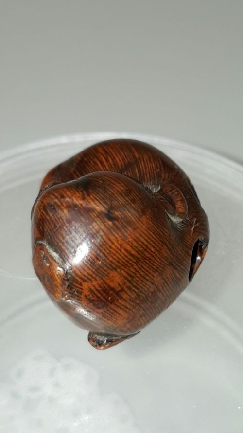 JAPANESE MEIJI 19THC BOXWOOD NETSUKE OF A PUPPY - ADDITIONAL PHOTO 3